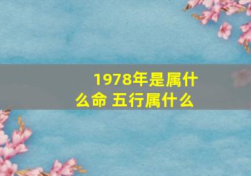 1978年是属什么命 五行属什么